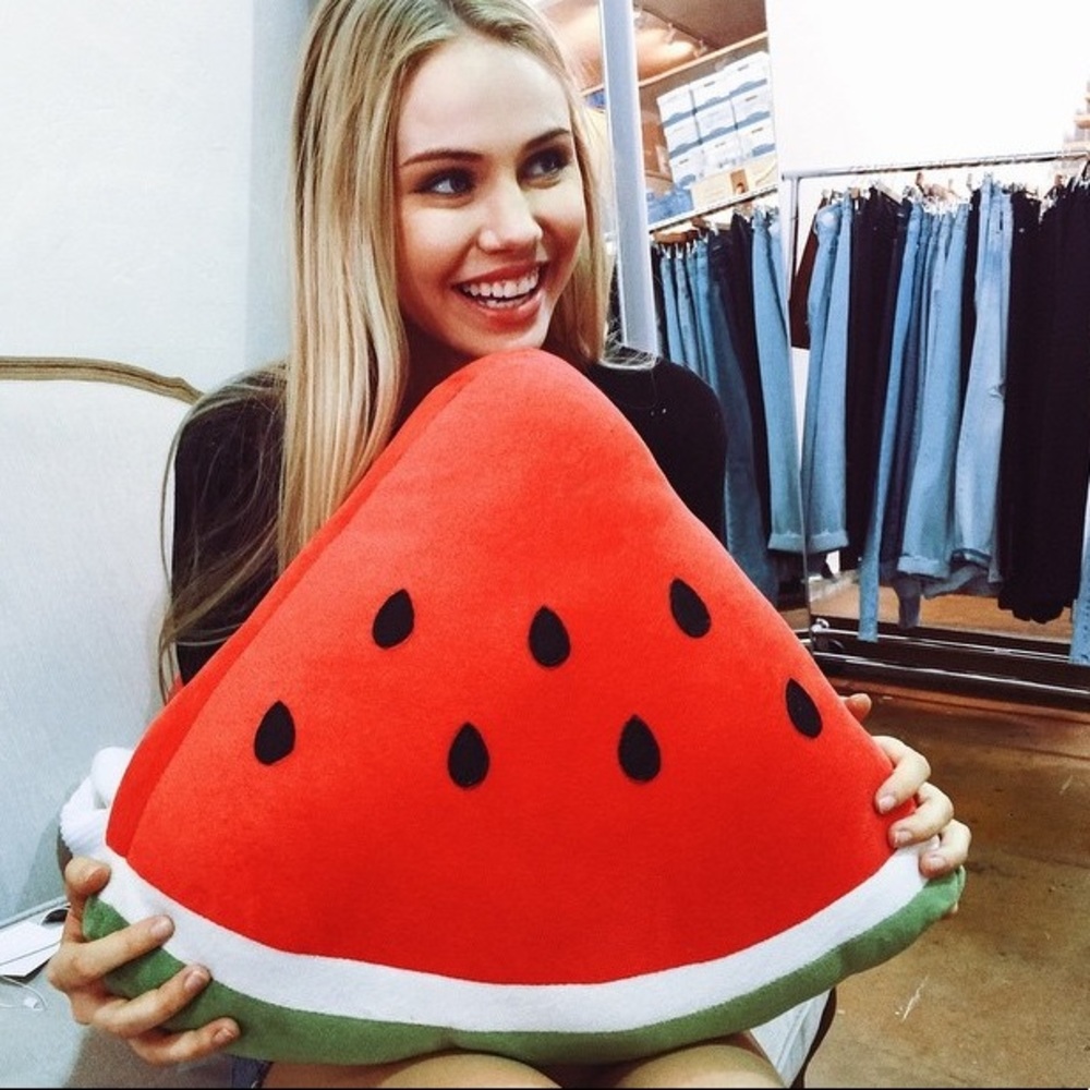 RARE brandy melville watermelon pillows
